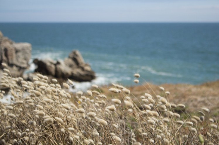 croisic saint nazaire-9