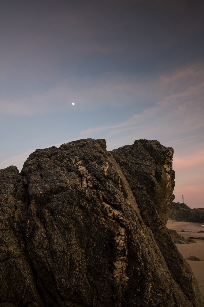 plagedesjaunais-1-40