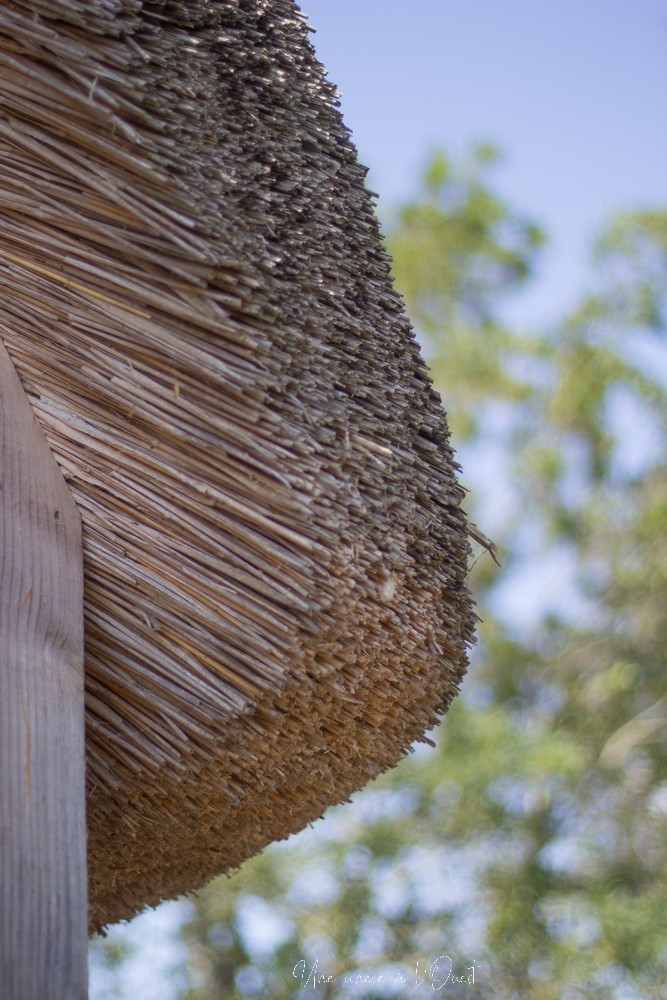 saintnazaveclestanneaux-1-16