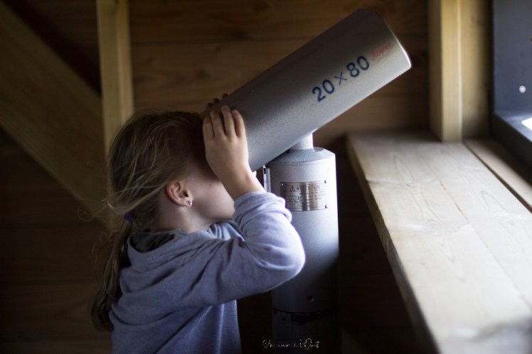 saintnazaveclestanneaux-1-21