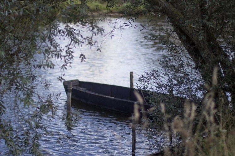 saintnazaveclestanneaux-1-7