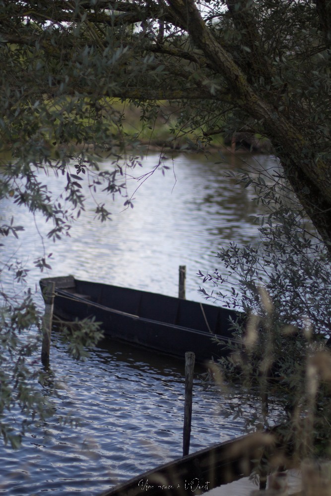 saintnazaveclestanneaux-1-8