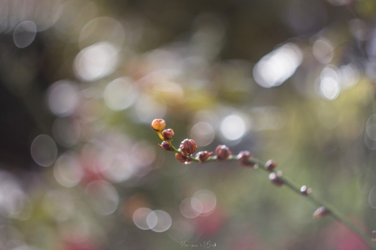 testheliospluie-1-12