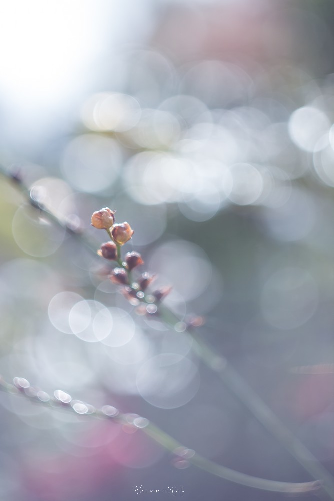 testheliospluie-1-17