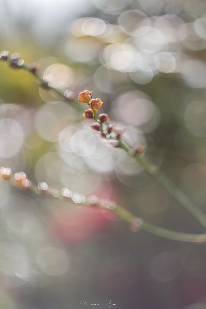 testheliospluie-1-19