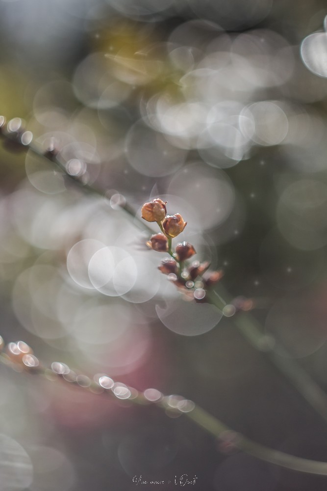 testheliospluie-1-26b