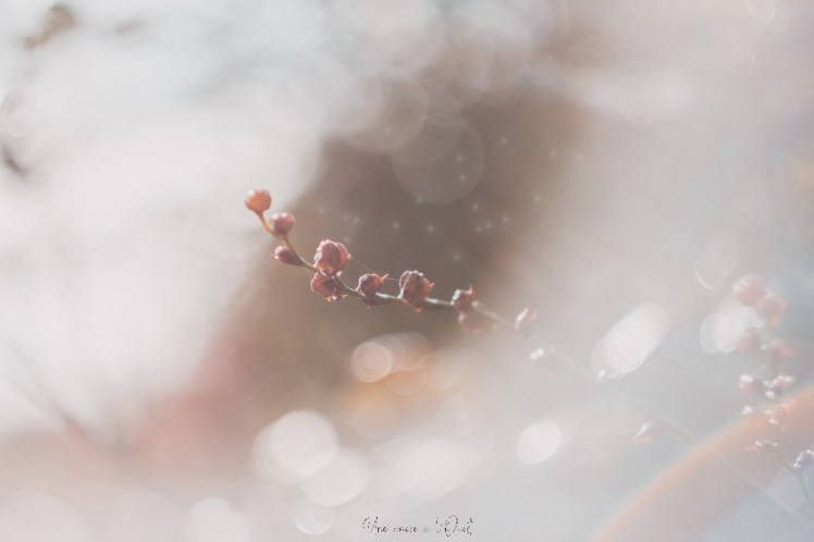 testheliospluie-1-30b