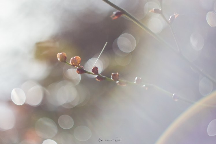 testheliospluie-1-36