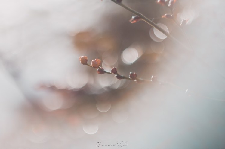 testheliospluie-1-38