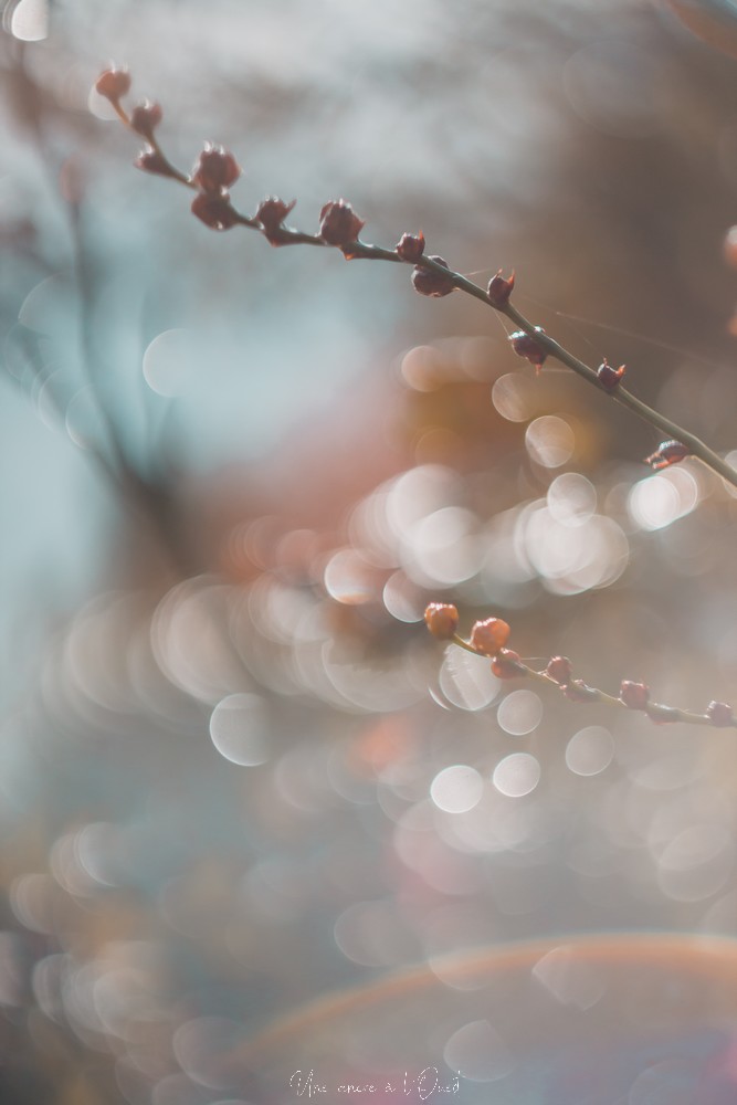 testheliospluie-1-42