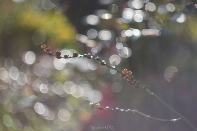 testheliospluie-1-51