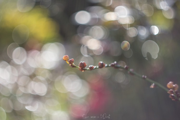 testheliospluie-1-55