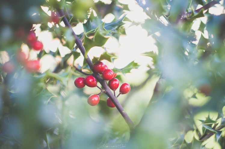 testheliospluie-1-14