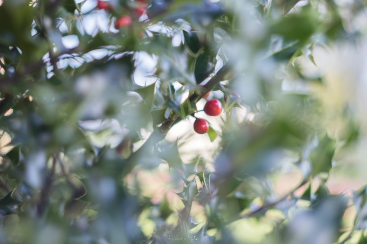 testheliospluie-1-59