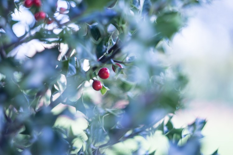 testheliospluie-1-62