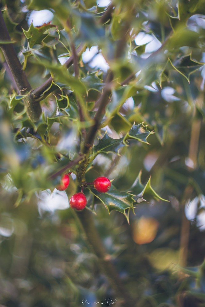 testheliospluie-1-66