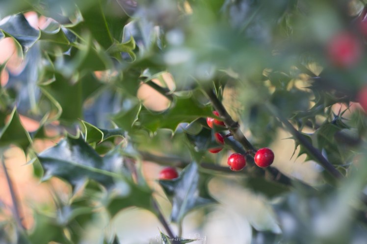 testheliospluie-1-71