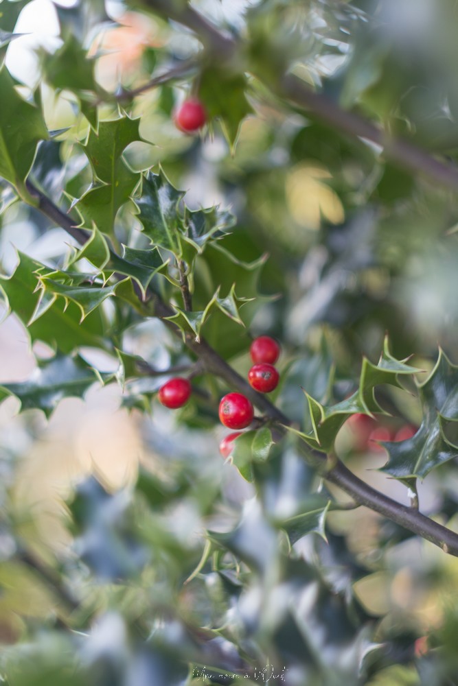 testheliospluie-1-72