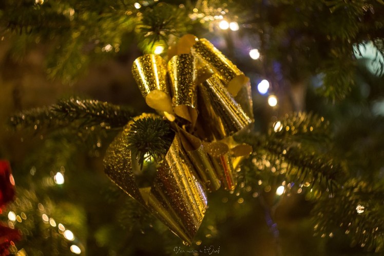 rochefortenterre-1-16