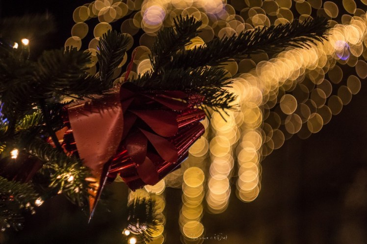 rochefortenterre-1-18