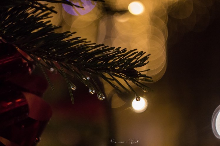 rochefortenterre-1-19