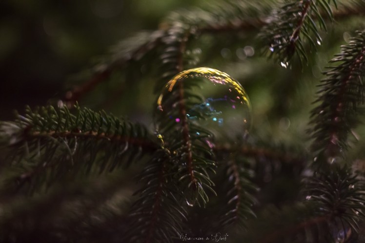 rochefortenterre-1-32