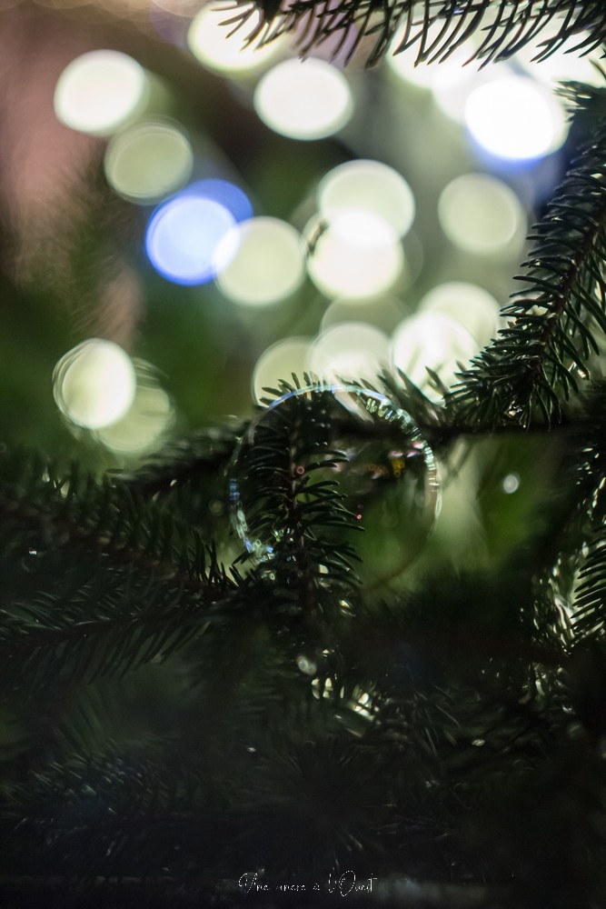 rochefortenterre-1-34