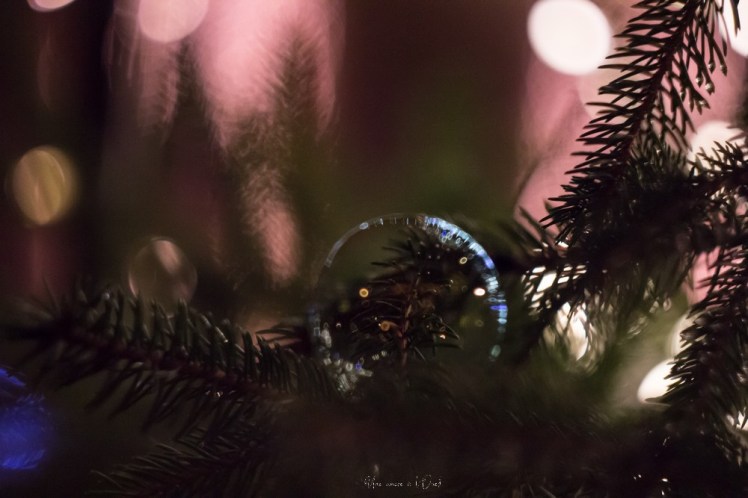 rochefortenterre-1-35