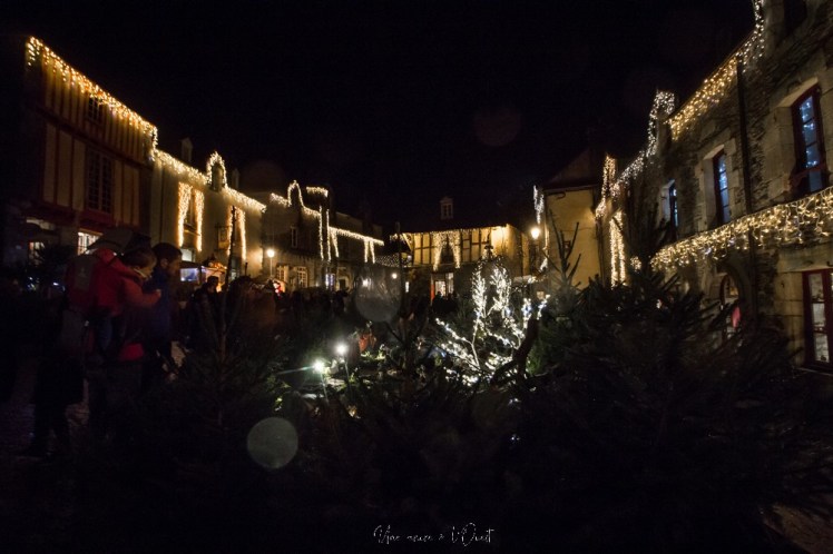 rochefortenterre-1-48