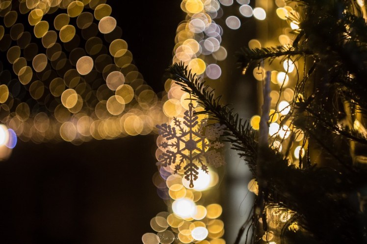 rochefortenterre-1-56