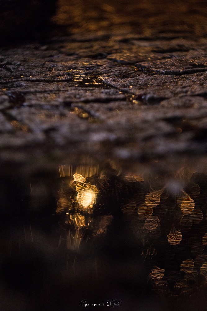 rochefortenterre-1-57