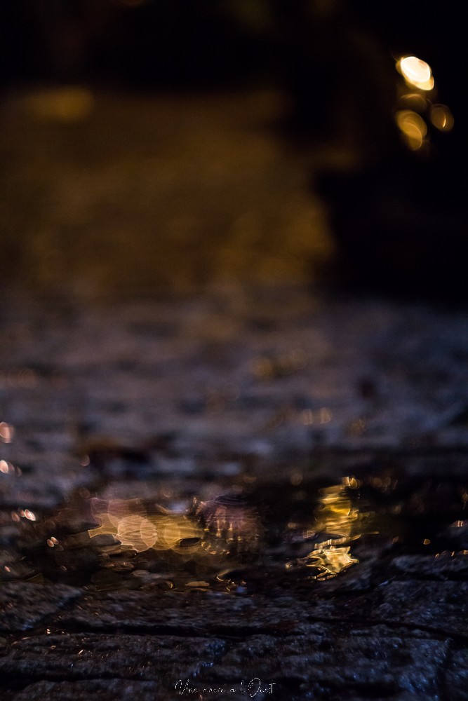 rochefortenterre-1-58