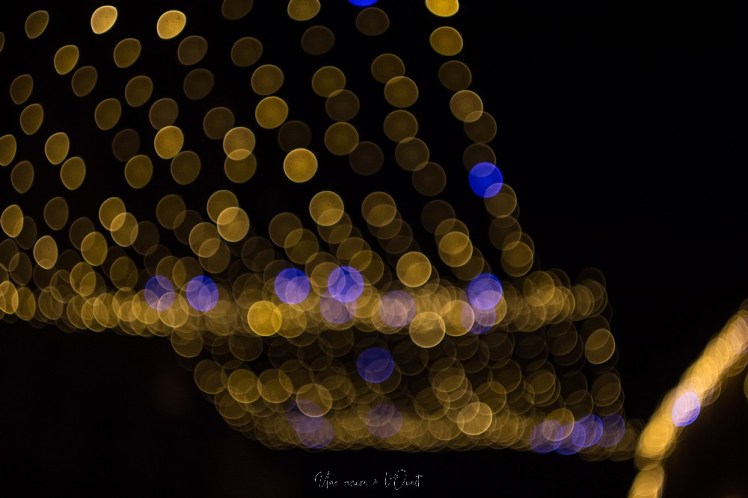 rochefortenterre-1-59