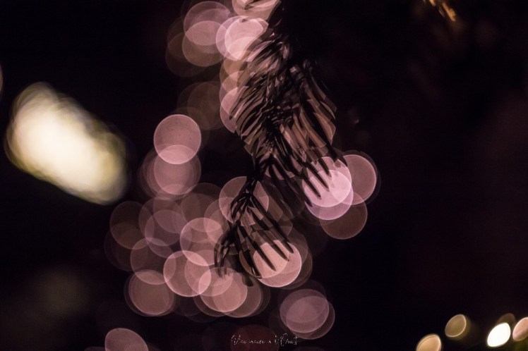 rochefortenterre-1-61