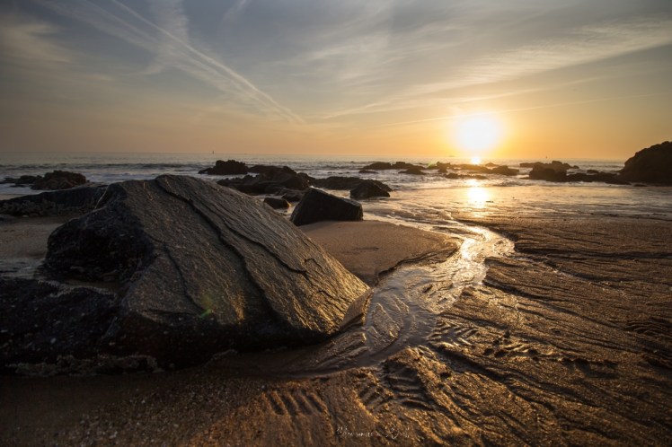 plagedesjaunais-1-11