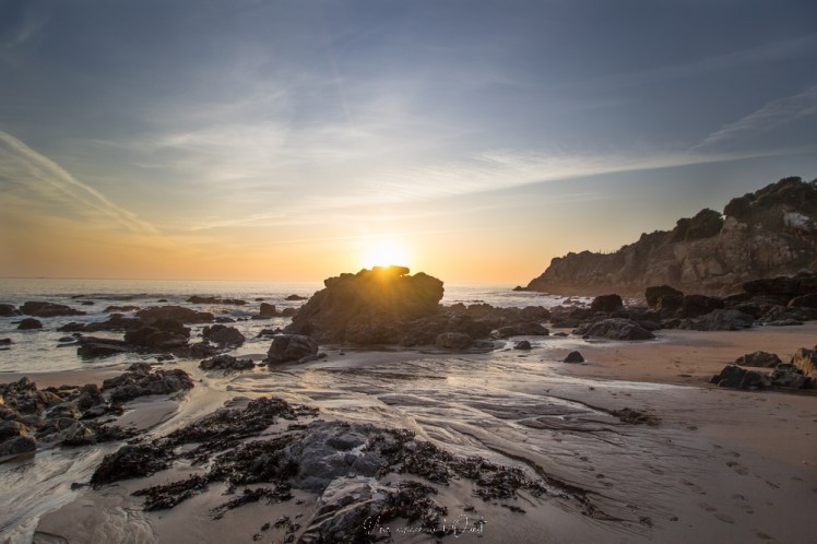 plagedesjaunais-1-18