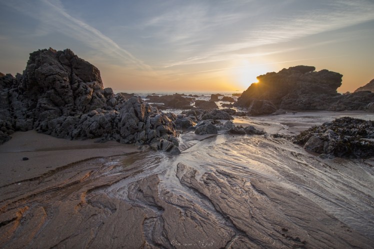 plagedesjaunais-1-20