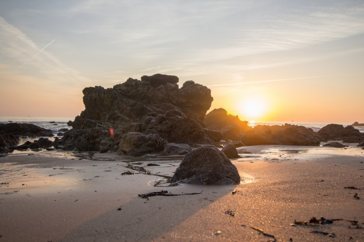 plagedesjaunais-1-25