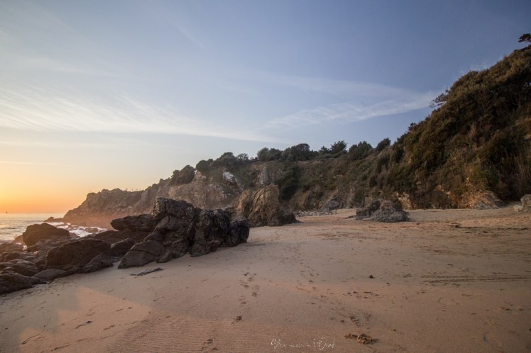 plagedesjaunais-1-26