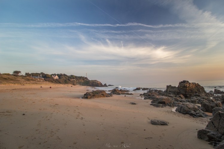 plagedesjaunais-1-28