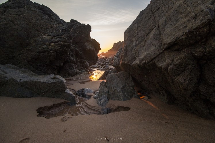 plagedesjaunais-1-30