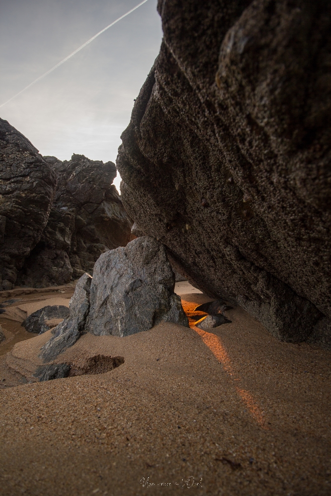 plagedesjaunais-1-31