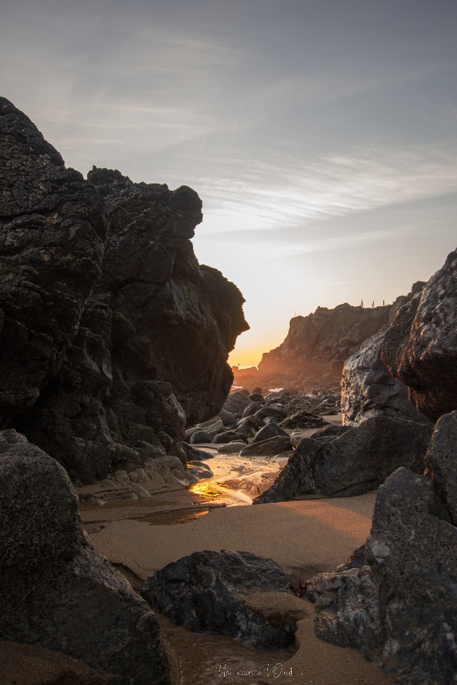 plagedesjaunais-1-35