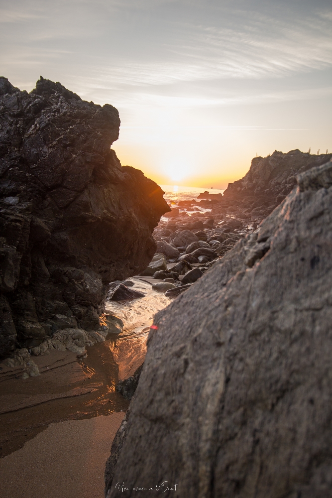 plagedesjaunais-1-36