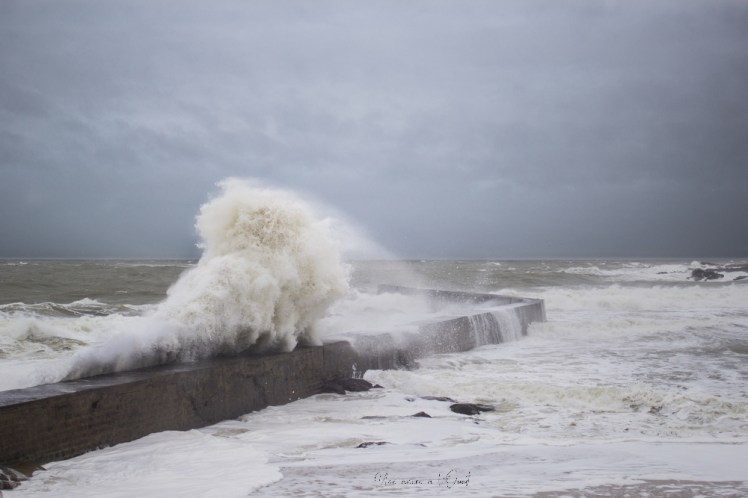 dennisbatzsurmer-1-102