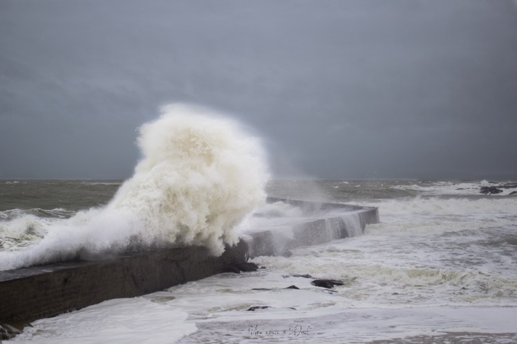 dennisbatzsurmer-1-103