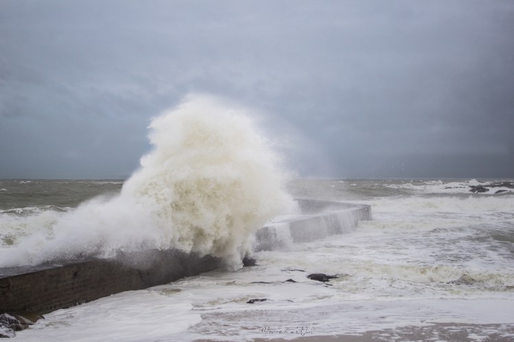 dennisbatzsurmer-1-104