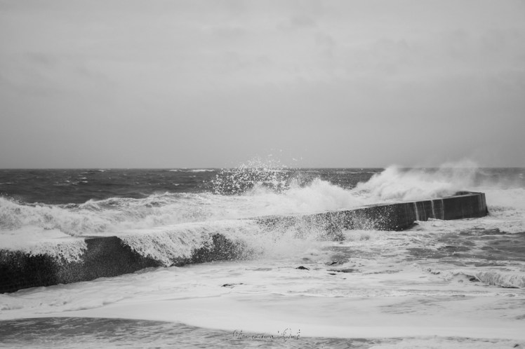 dennisbatzsurmer-1-105