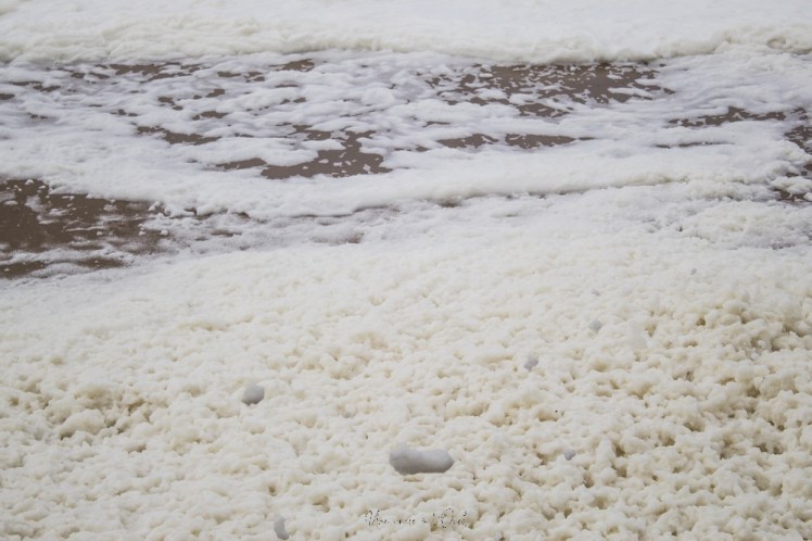 dennisbatzsurmer-1-107