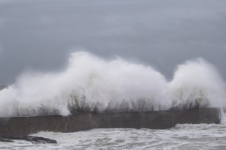 dennisbatzsurmer-1-16